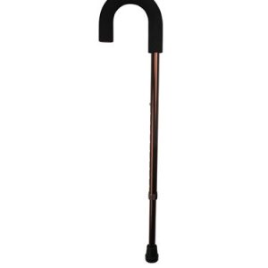 Image Present Crook Handle Walking Stick, Bronze
