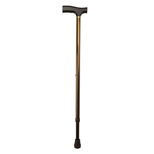 Image Present T-Handle Walking Stick, Bronze